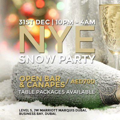 NYE Snow Party